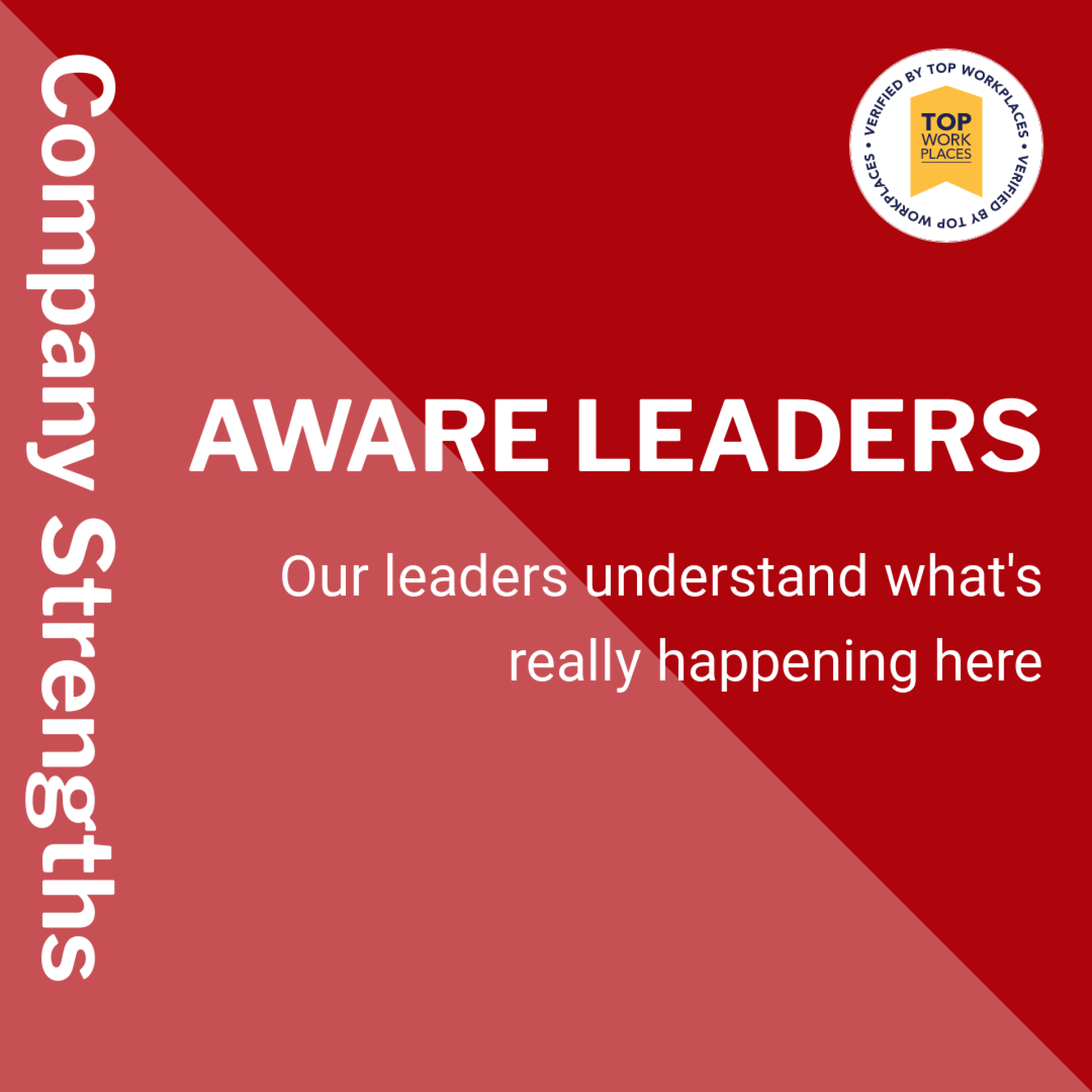 Company Strengths: Aware Leaders. Our leaders understand what's really happening here.